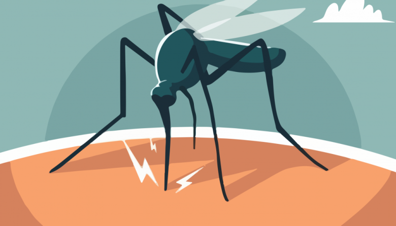 Cómo actuar frente al dengue